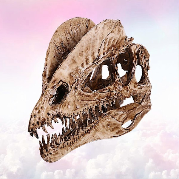 1 kpl Hieno Dilophosaurus Kallo Koriste Hartsi Dinosaurus Kallo Malli Käsityöt Sisustus Elävä Dinosaurus Kallo Koriste Luova Dinosaurus Kallo Malli Sisustus