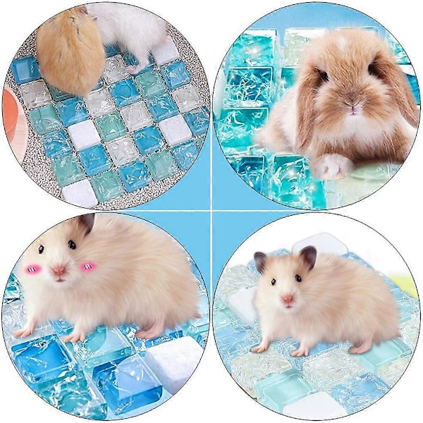 2 st Utsökta husdjursdynor Sommarkylande bo Sovbädd för husdjur Hamster Kanin
