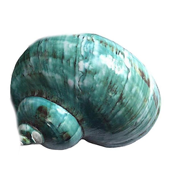 Härlig Grön Sällsynt Snäcka Ornament Skrivbord Akvarium Dekoration Gåva