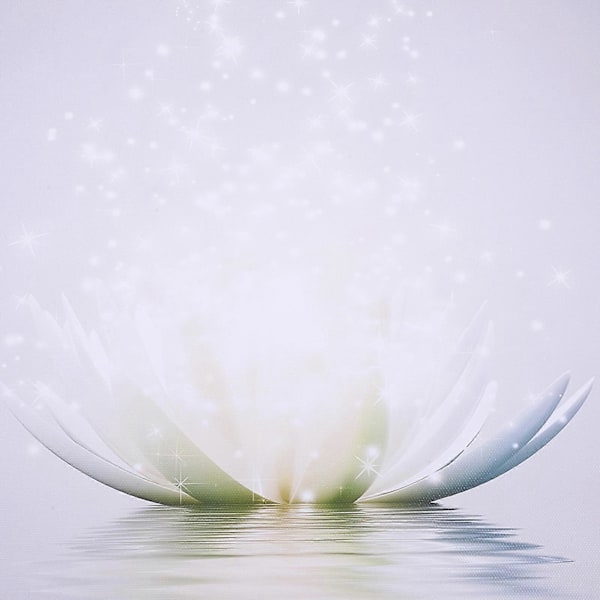 4 st Canvas Vägg Lotus Bild Blomma Canvas Målning Vardagsrum Sovrum Badrum Dekorationer