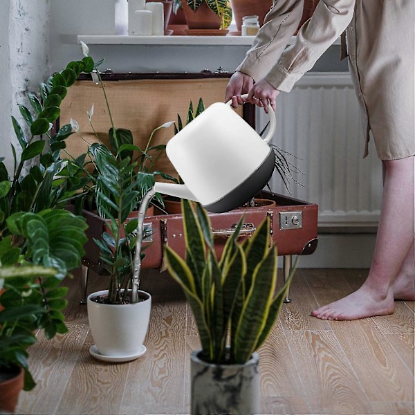 Blomsterkande til Botanisk Have kan hjælpe dig med at vande små stueplanter, sukkulenter, indendørs have B