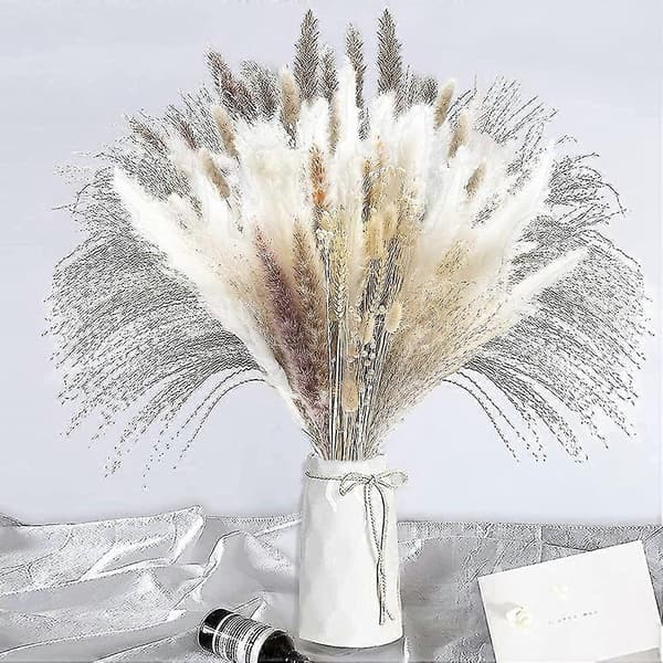 Tørret Pampasgræs, Pampas Pampas, Rørgræs Rør, Tørret Buket