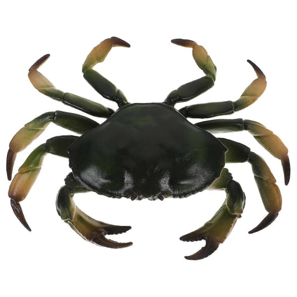 Realistisk Simulations Krabbe Model Pædagogisk Plast Simuleret Krabbe Model Kunstig Dyremodel