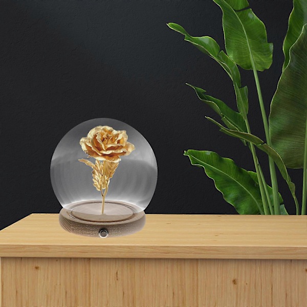1 set Konserverad Blomma Glaskupa Dammtät Glaskupol Konserverad Blomkupa
