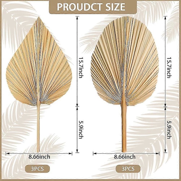 6 stk. Tørkede Palmblader Tørkede Palmegrener Dekorasjoner For Hjem Hjerte- og Rund Form Tørkede Planter Trimmet Boho Palm