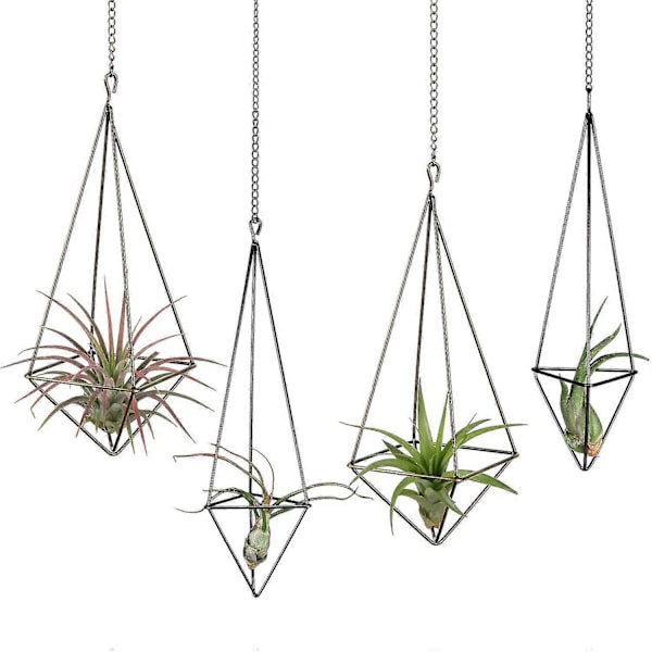 Riippuva kasviteline - 4 kpl, 2 kokoa Metallinen kasviteline Tillandsia-ripustin Himmeli-istutusastia Wit