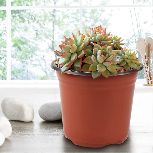 130-pack 6-tums Plantkrukor för Suckulenter, Plantor, Sticklingar, Omplantering