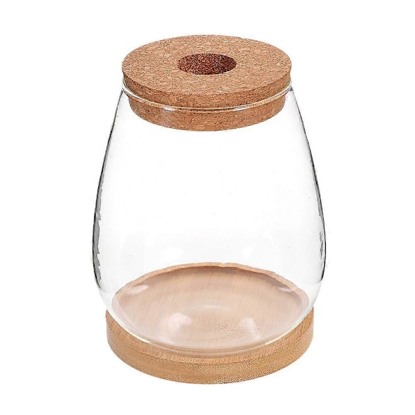 1 Set Växtterrarium Hydroponisk Växtplanterare DIY Landskapsflaska Skrivbordsväxthållare