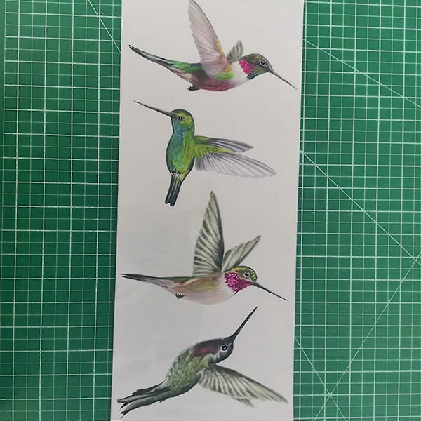 8 Vackra Statiska Fönsterdekaler med Kolibri - Kolibri Anti-Kollisions Fönsterdekaler för att Förhindra Fågelkollision