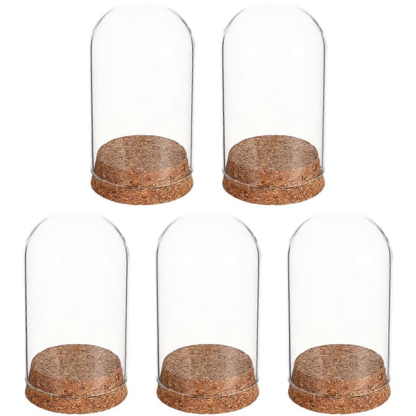 5 stk. Premium Glas Display Cover Opbevaringskrukke Beholder til Evighedsblomst