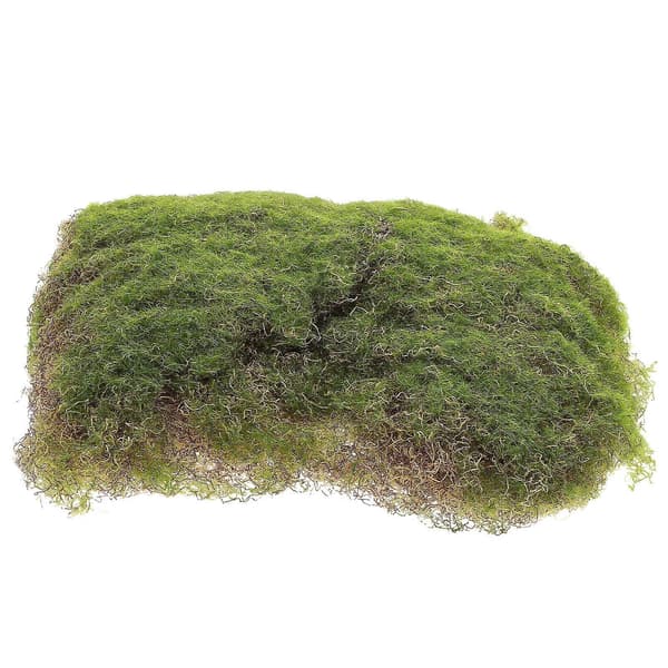 Simulerad Mosstorf Konstgjord Moss Laven Falsk Mossmatta Simulation Grön Moss