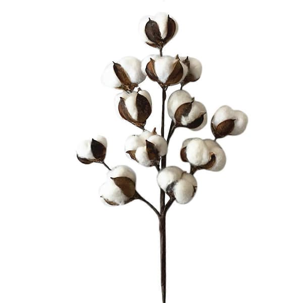 1 gren med 50 cm bomullsstjälkar bomullsgren konstgjorda torkade blommor hem bröllopsdekor