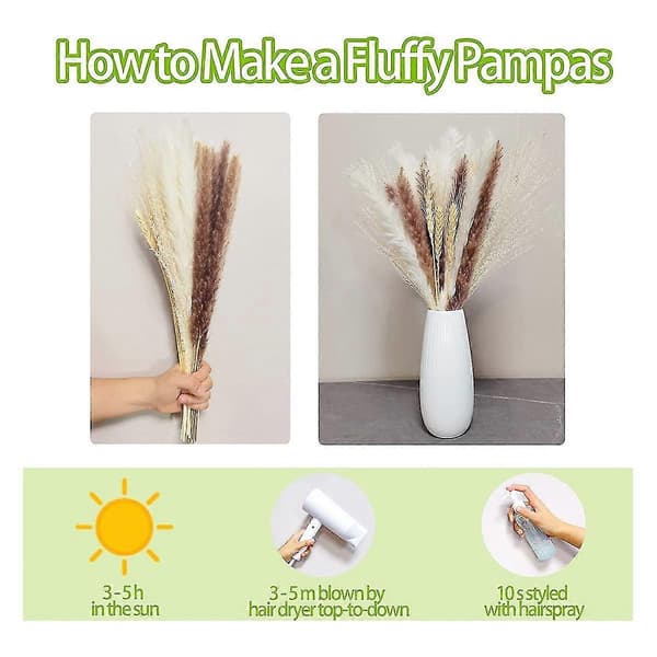 Pampasgræs Boho R, Fluffy Tørret Pampasgræs, -la, , Fotogr