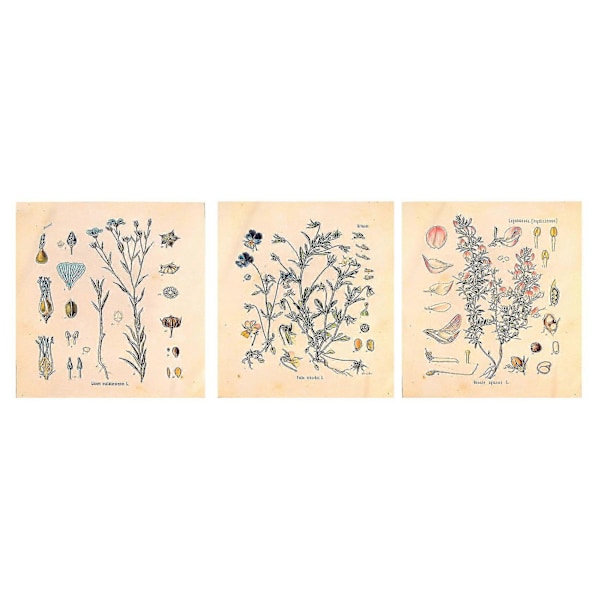 3 st Blomsterväv Gobeläng Väggbonad Vildblomma Växt Floral Gobeläng Diagram Liten Gobeläng För Sovrum