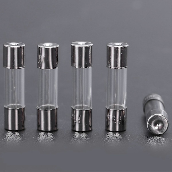 10 kpl Nopeasti Palavia Lasiputkisulakkeita 5x20mm 250v 1.5a