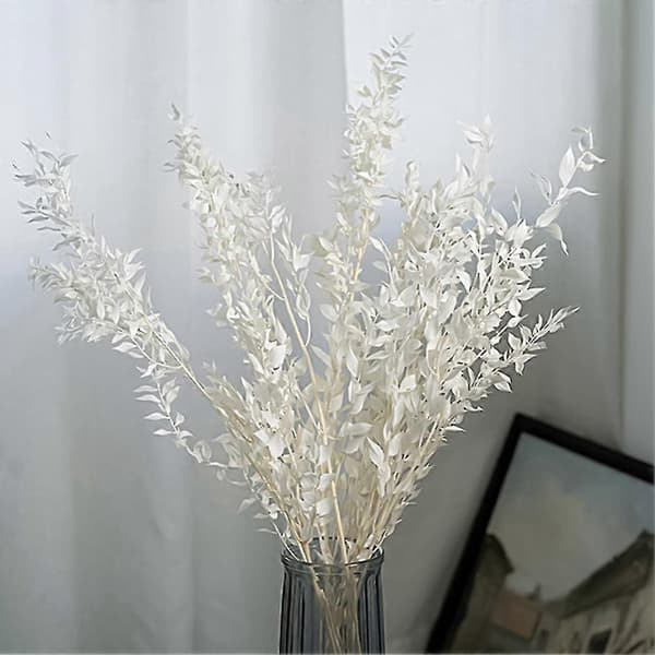 45 cm Tørrede Evighedsbevarede Ruscus Blomster DIY Blomsterdekoration Tørret Blomsterbuket Til Bryllup Ho
