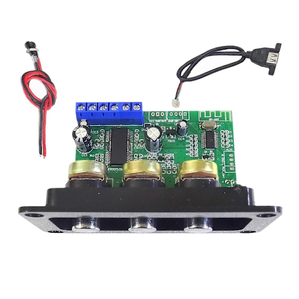 30W Bluetooth Ljudförstärkarkort med DC Hona Kabel+USB Kabel Bluetooth 5.0 Mono Subwoof