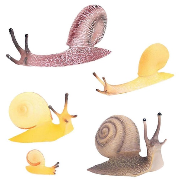 5 stk. Realistiske Simuleringssneglefigurer Sneglefigur Simuleringsdyrefigurer Leker for barn