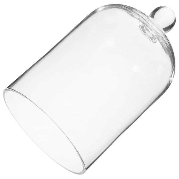Glaskupol Evig Blomma Glasskydd Konserverad Blomma Skydd Glasfodral för Visning