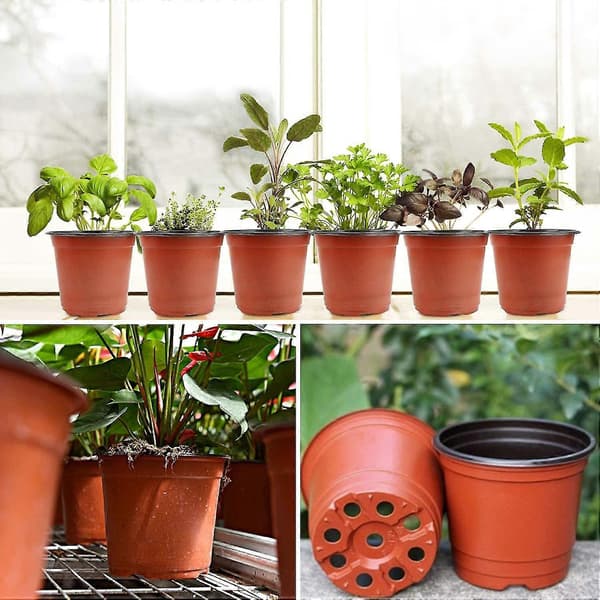 130-pack 6-tums Plantkrukor för Suckulenter, Plantor, Sticklingar, Omplantering