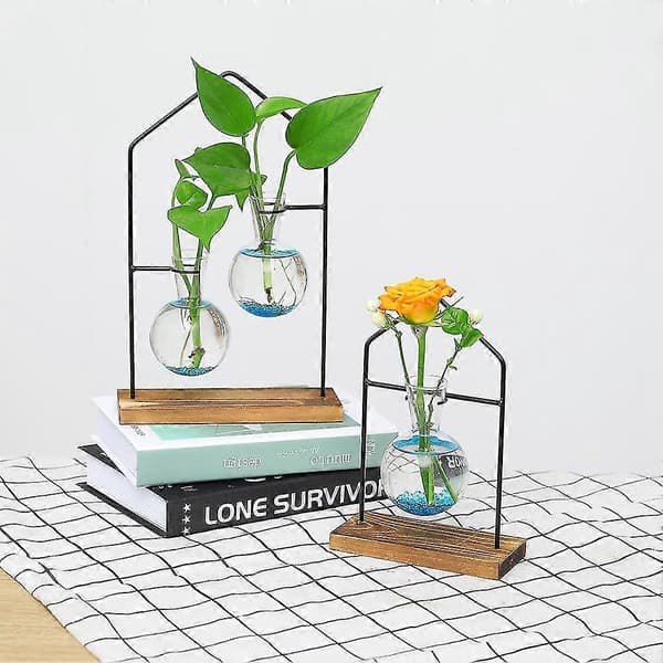 Bordsställ för växtförökning, hydroponisk växtblomdekorationsvas, transparent glas för vardagsrum