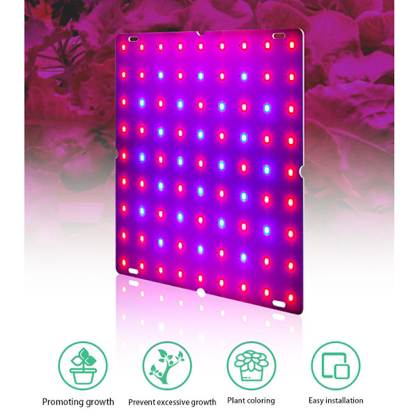 LED växtlampa 2000W Full Spectrum Hydroponic Grow Lamp