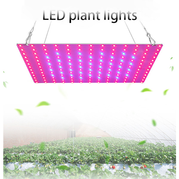 LED växtlampa 2000W Full Spectrum Hydroponic Grow Lamp