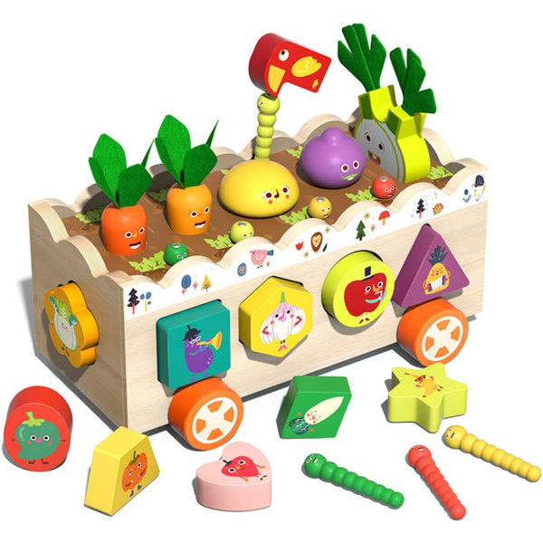 25 st Montessori träleksaker Set Trä Förskola Morotsskördspel för småbarn Lära sig finmotorik Leksaker Formsortering Barn