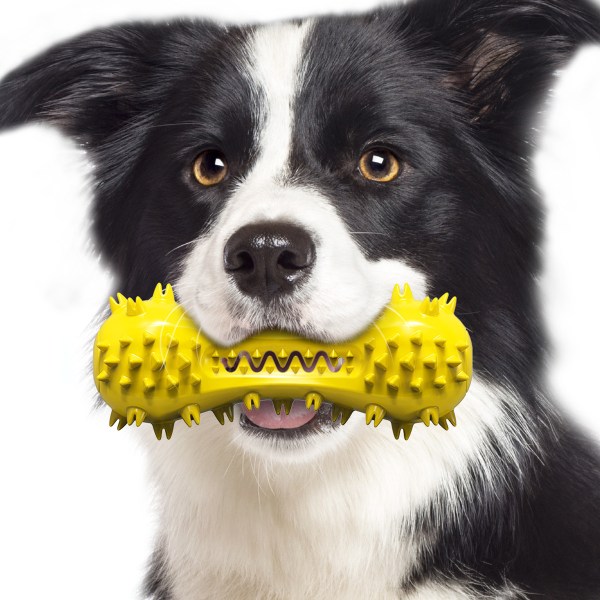 Tandborste hundtuggleksak, pinneben för rengöring av hundtänder, tandborstning, tändningstuggleksaker Yellow