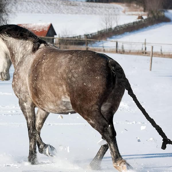 Flettet halebeskytter kompatibel med heste, sort