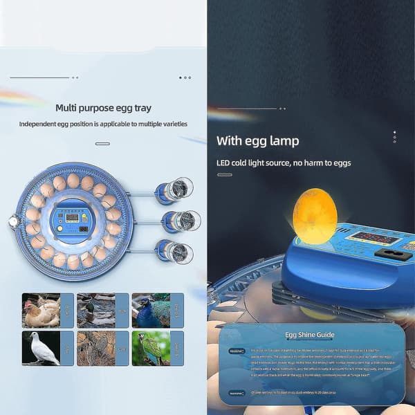 Egginkubator for ruging av egg med doble eggbrett, automatisk eggvending og vanntilførsel, egglyser, gårdsfjærfe egginkubatorer for ruging