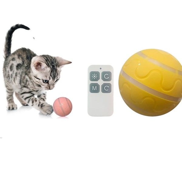 husdjur leksak boll agility utbildning glödande boll orange remote control