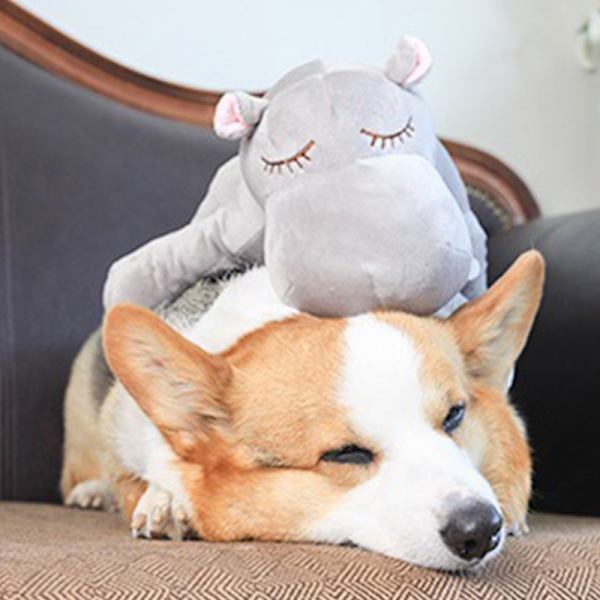 Hvalpe adfærdstræningslegetøj Plys kæledyr Komfortabel Snuggle gray hippo