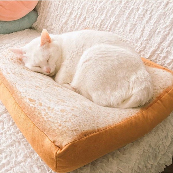 Toast bröd skiva stil husdjur mjuk varm madrass light brown small