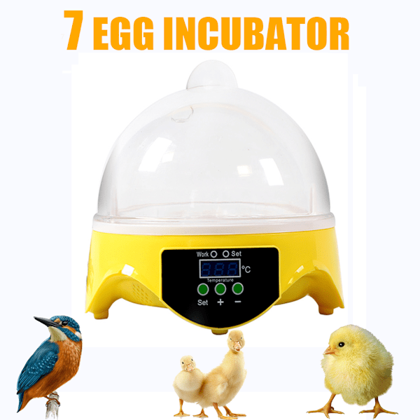 Mini ägg inkubatormaskin EU plug