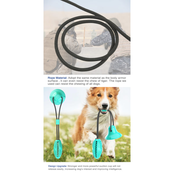 Pet Chew Træningslegetøj Forøg IQ Hundeforsyninger blue