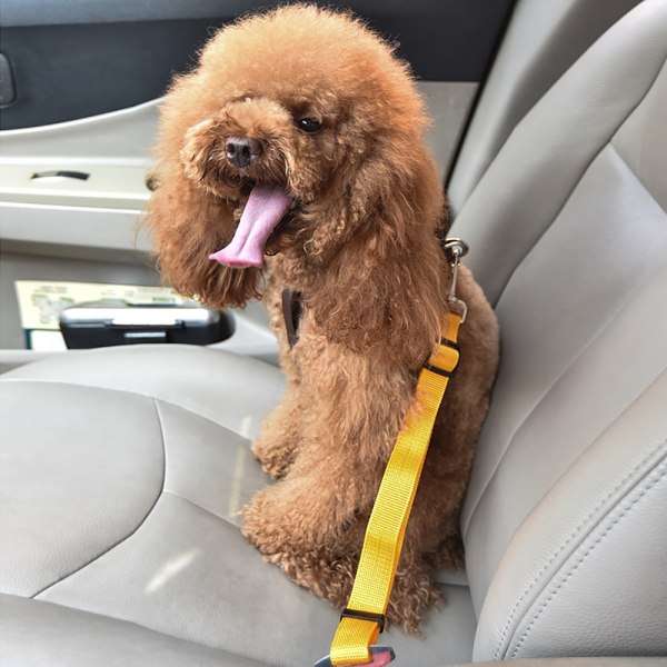 Säädettävä lemmikkiauton turvavyö Travel Traction -pantavaljaisiin Koiran lyijyklipsi lemmikkieläintuote pink