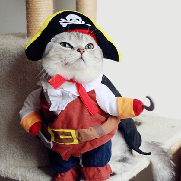 Kostumer Piratdragt Kattetøj Pet Corsair Halloween Pirate costume medium