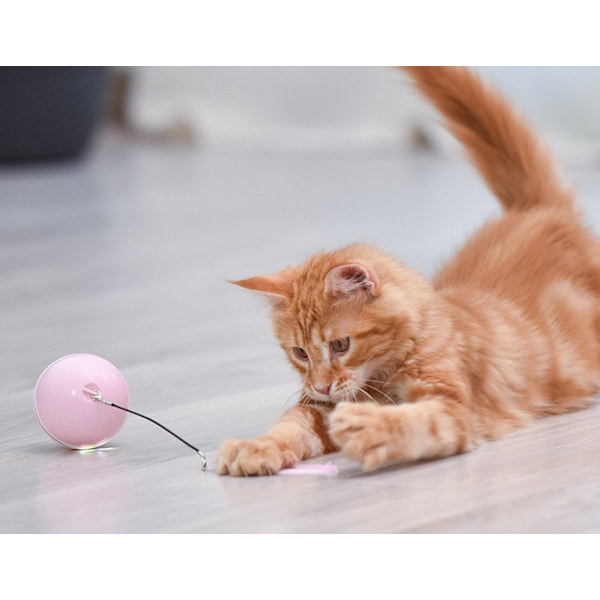 Färgglad LED Smart Electric Cat Magic Toy Ball pink