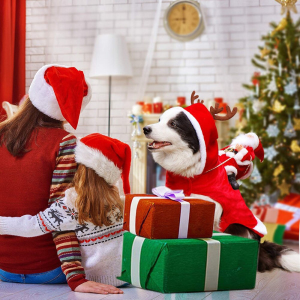 Hundejulekostume Julemandstøj Ridetøj red large