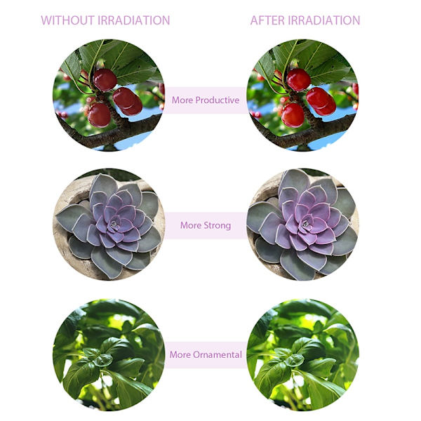 2/4 LED Grow Light USB Phyto Lamp Fuldt spektrum til planter 4 Heads USB Port