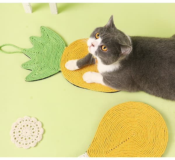 Fånga kattbrädets husdjursleksaker för att skydda möblerna pineapple