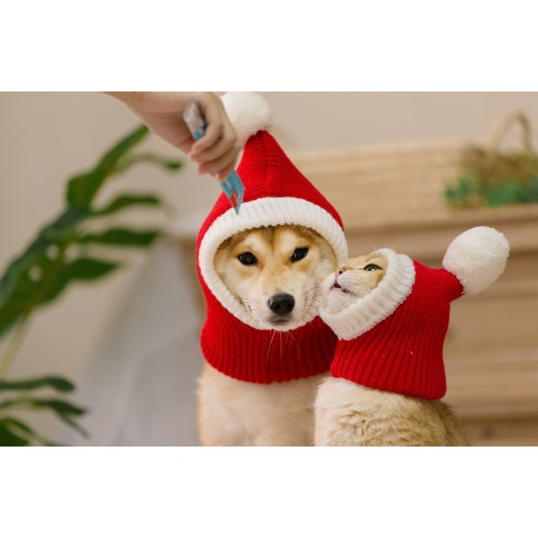 Pet Vinter Uld Hat Dukke Golden Retriever Hunde Jule Hat red double extra large