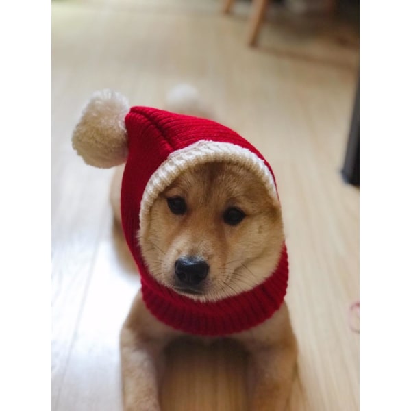 Pet Winter Wool Hat Doll Golden Retriever Dog Christmas Hat red large