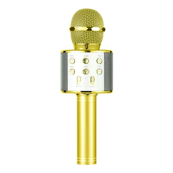 Trådlös Bluetooth Karaoke -mikrofon (lokalt guld)