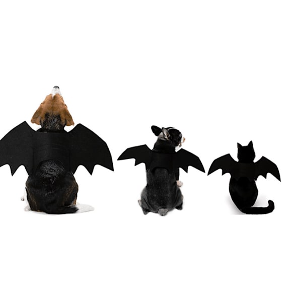 Halloween kostume Pet Bat Wings Kat Hund Bat Costume Wings black small