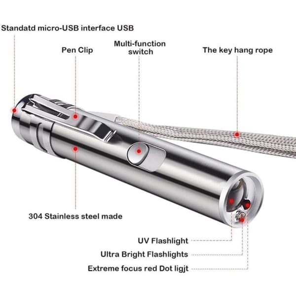 Galaxy LED-peker for katter og hunder - LED-lyspeker med USB-kabel