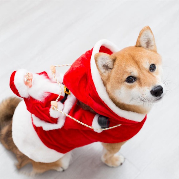 Hundejulekostume Julemandstøj Ridetøj red double extra large