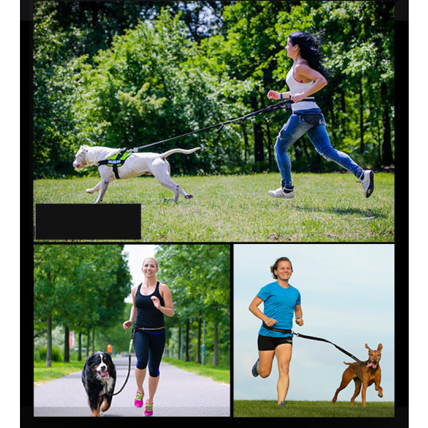 Koiran köysi heijastava veto Nylon juoksu säädettävä vyö black 2.5cm*140cm