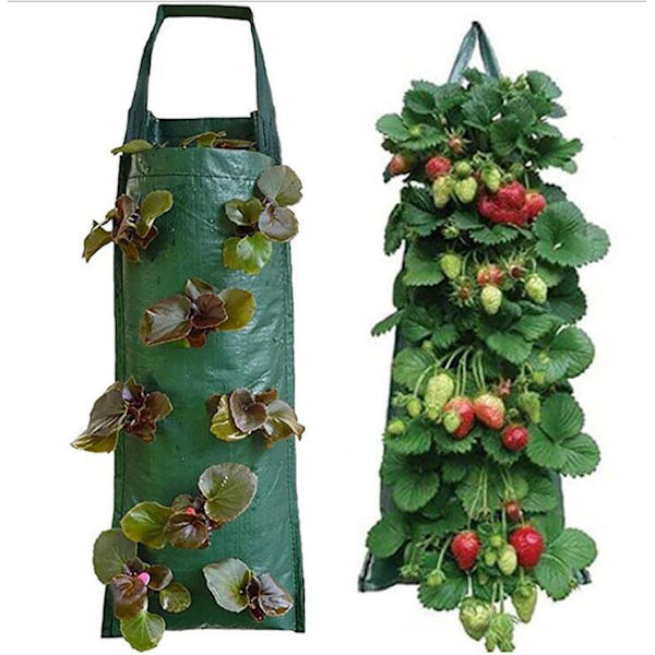 Vägghängande vertikal trädgård 4 8 fickor Plant Grow Bags green 4pockets